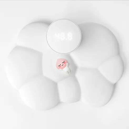 가성비 최고 카카오스마트체중계 Top5