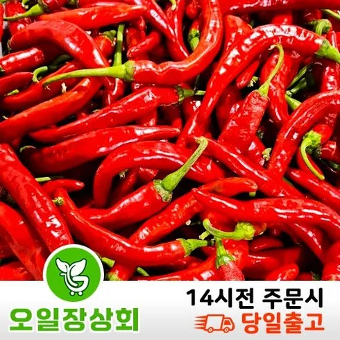 가성비 최고 홍고추10kg Top5