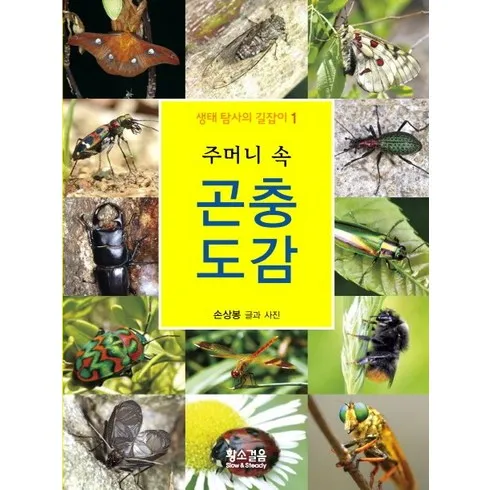 가성비 최고 곤충도감 Top5