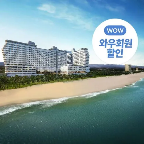 가성비 최고 속초애견동반숙소 Top5