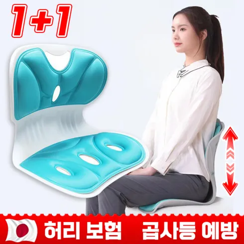 가성비 최고 척추측만증의자 Top5