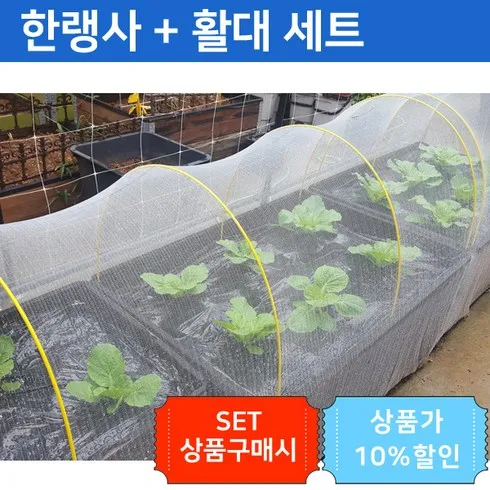 가성비 최고 활대 Top5